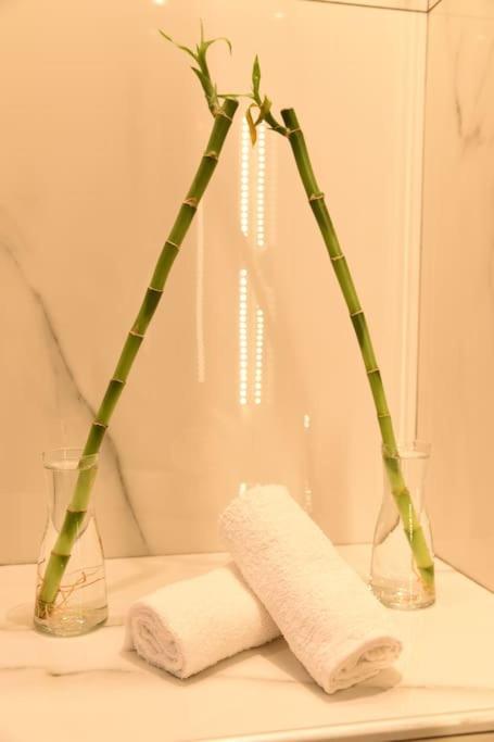Syntagma Square, 30Sqm Nikis Luxurious Studio Athene Buitenkant foto